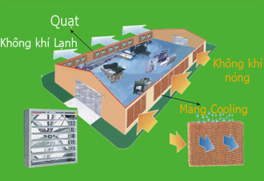 TÌM HIỂU HỆ THỐNG LÀM MÁT NHÀ XƯỞNG BẰNG TẤM COOLING PAD